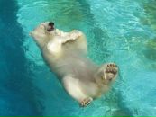 Фотография Дёмина Дмитрия