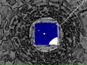 Фотография Пак Анны