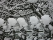 Фотография Забелиной Нины