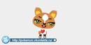 Коля Іванов фотография #43 (источник - https://vk.com/id136491096)