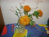 Іра Сидорчук фотография #17 (источник - https://vk.com/id62536432)