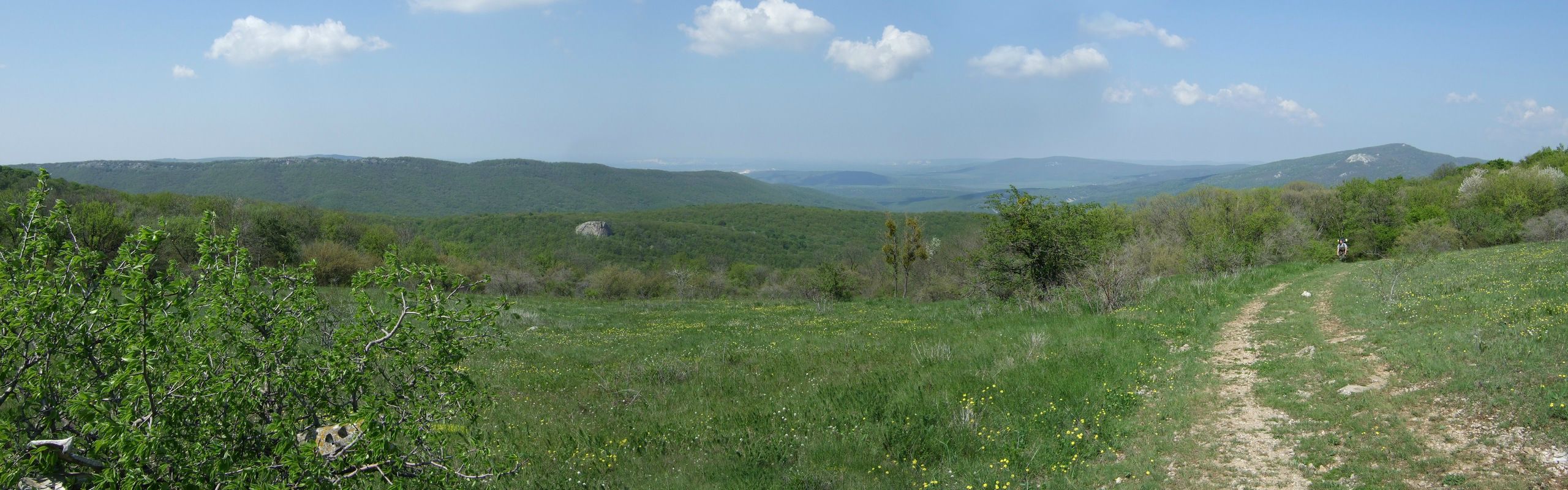 Ihawk Ihawk фотография #23