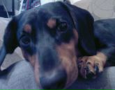 Фотография Носовой Екатерины