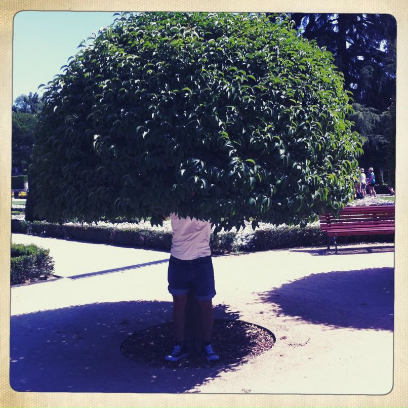 Max Lion фотография #2