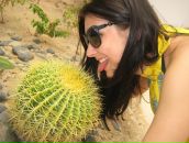 Юля Воєвода фотография #49 (источник - https://vk.com/id39680944)