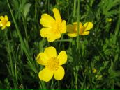 Маряна Сокіл фотография #17 (источник - https://vk.com/id8316949)