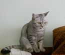 Фотография Куриленко Марии