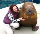 Фотография Абрамицкой Веры