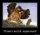 Кіт Вредний фотография #9 (источник - https://vk.com/id296284042)