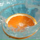 Фотография Стойковой Цветы