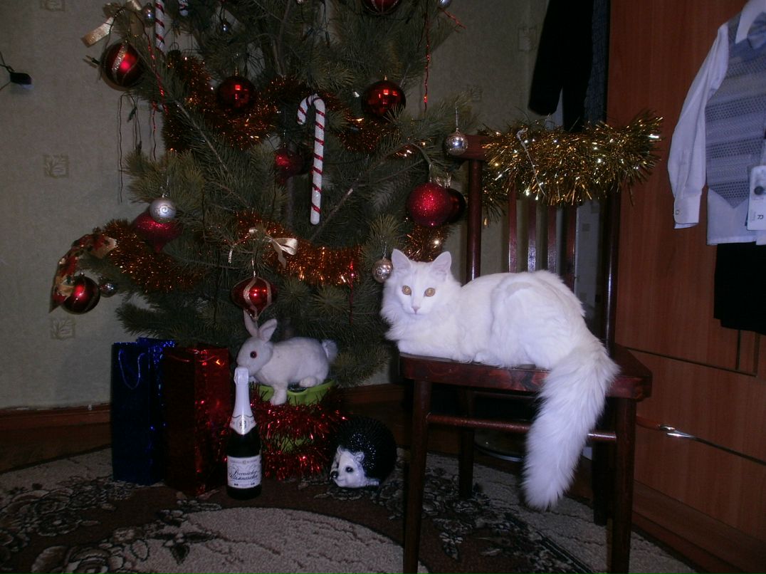 Женя Жалсанова фотография #41