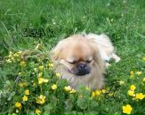 Наталя Курільчук фотография #1