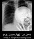 Ёрик Мандаринка фотография #8 (источник - https://vk.com/id161525067)