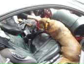 Andre Laskey фотография #34 (источник - https://vk.com/id3967924)