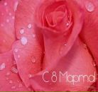 Фотография Барановой Ольги