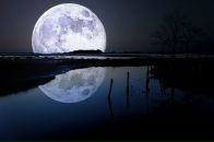 Фотография Прохорова Ростислава