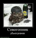 Фотография Виктор Першин