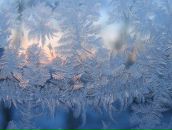 Фотография Харлампьевой Надежды