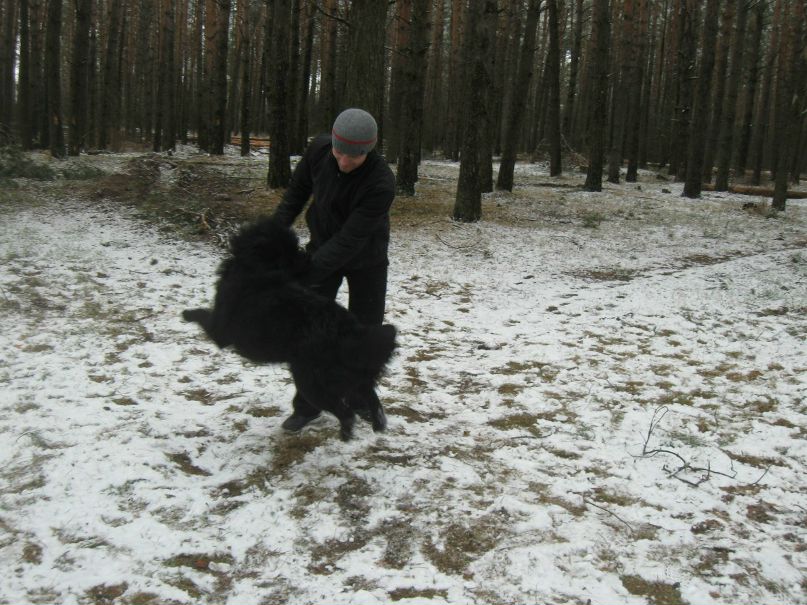 Дмитрий Худяков фотография #29