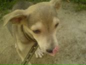 Петя Гіль фотография #35 (источник - https://vk.com/id31347496)