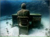 Фотография Виноградова Александра