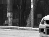 Міша Карповець фотография #19 (источник - https://vk.com/id163731953)