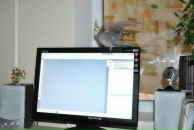 Віталій Грушецький фотография #27 (источник - https://vk.com/id60726593)