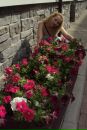Фотография Сухарев Максим