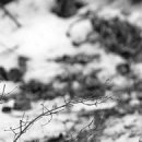 Ігор Шутурма фотография #24 (источник - https://vk.com/id122805674)