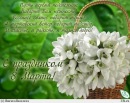 Інна Нечепуренко фотография #14 (источник - https://vk.com/id67487865)