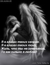 Анастасія Гасюк фотография #15 (источник - https://vk.com/id167519398)