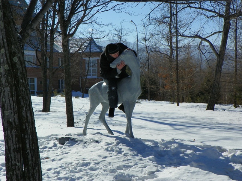 Иван Плотников фотография #11