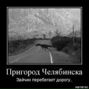 Оксана Невоструєва фотография #7 (источник - https://vk.com/id10031765)