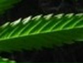 Ілюха Собко фотография #45 (источник - https://vk.com/id89825497)