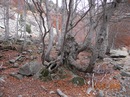 Вітя Федосенко фотография #15 (источник - https://vk.com/id154963003)