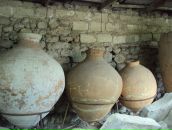 Марія Семенець фотография #50 (источник - https://vk.com/id21551093)