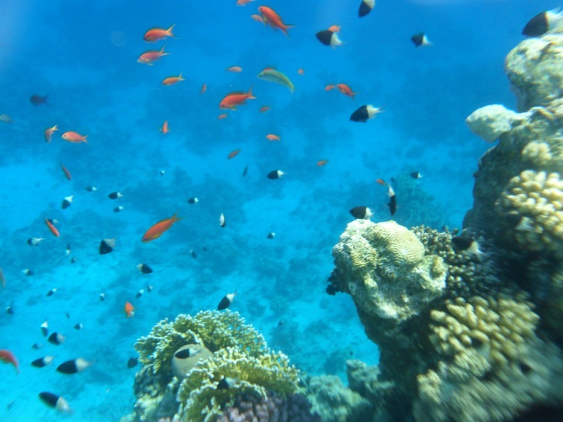 Оксана Боброва фотография #34