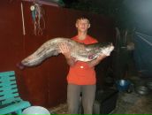 Фотография Козлова Александра