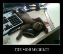 Денис Волков фотография #23 (источник - https://vk.com/id188354)