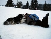 Фотография Ивановой Ксении