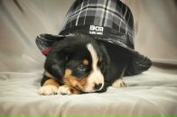 Фотография Абдуллиной Елены