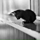 Оля Сеньків фотография #48 (источник - https://vk.com/id8914822)