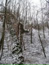 Ігор Панасенко фотография #22 (источник - https://vk.com/id30625196)