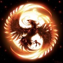 Фотография Максименко Алекса