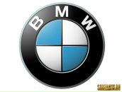 Фотография Алексеева Никиты