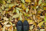 Фотография Кузнецовой Алии