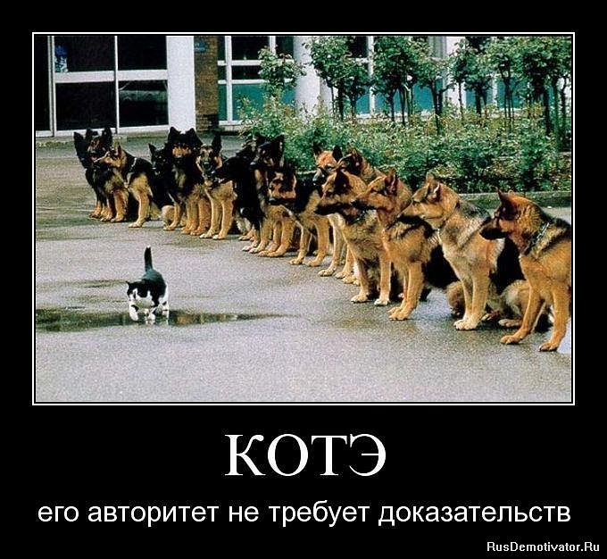 Илья Стафеев фотография #16