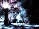 Фотография Фонбка Генерала
