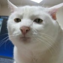 Фотография Туркина Дениса