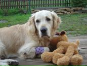 Фотография Иордановой Ирины